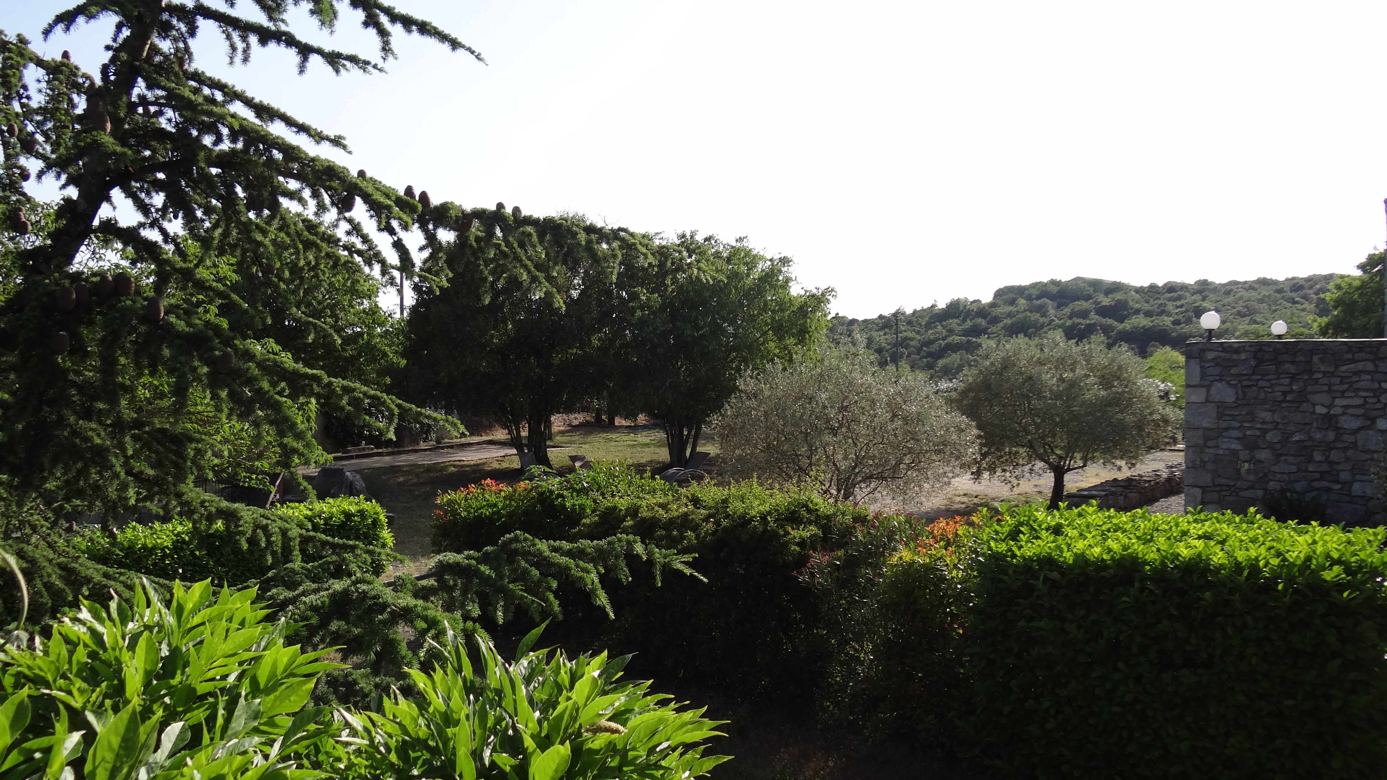 Le terrain ombragé et ses oliviers Vue sur la maison Amalthée depuis le solarium piscine